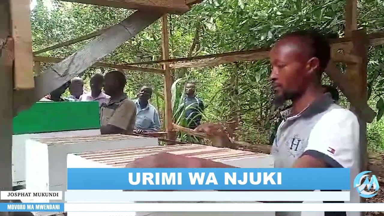 GOLD OF AFRICA BEE FARMING