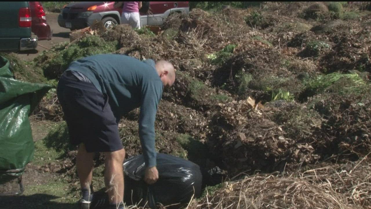 Staffing issues prompt Waste Management to stop yard waste pickup in 7
