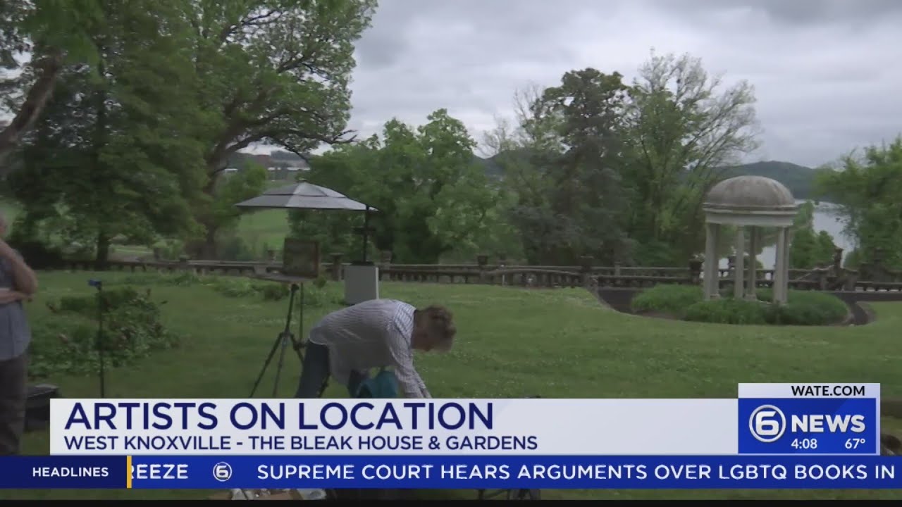 Artists highlight Knoxville’s beauty by painting scenes across the city