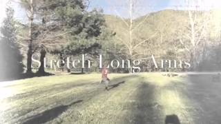 Darien Lunsford Stretch Long Arms