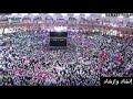 وديلي سلامي يارايح للحرم