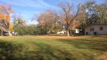 MicroQuad V2 Flip 1.5 MWC Quad