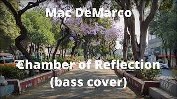 Mac DeMarco - Chamber Of Reflection (bass cover)