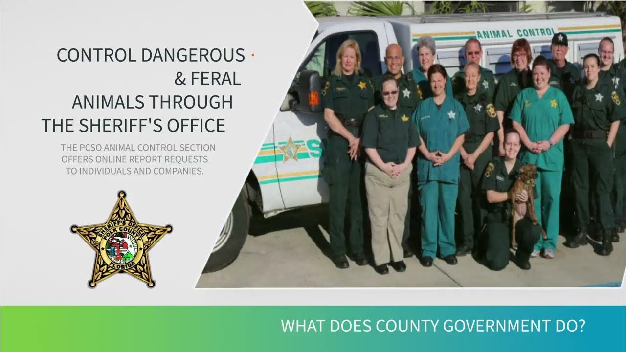 Polk County Animal Control YouTube