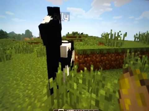 Minecraft 1.6.2: How to give animals names - YouTube