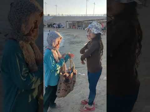 شيلي يابت عن امك