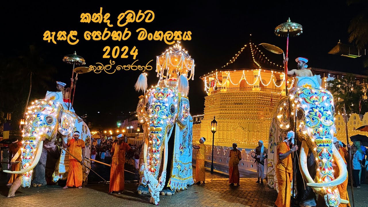 කන්ද උඩරට ඇසළ පෙරහර මංගල්‍යය 2024 ||Kandy Esala Perahara Festival 2024 || කුඹල් පෙරහර#daladaperahara