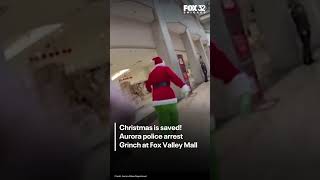 Aurora police arrest Grinch at Fox Valley Mall