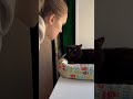 Вот такие вечера #кошки #юмор #топ #smile #night #top #like #cat #catsmile