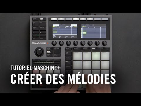 Crée des mélodies avec Maschine + (Expansion Neo Boogie) | Native Instruments