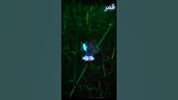 تلاوة خاشعة ومؤثرة..🤍☁️..استمع اليها .🦢💙.تأخذك الي عالم اخر 🧸🌼
