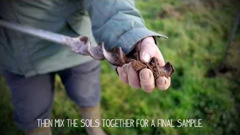 GREATsoils Soil Respiration Test