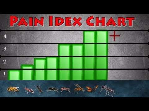 Sting Index Chart