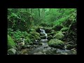 Sonido de agua en naturaleza por 3 horas para relajarse.