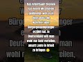 Die Wahrheit ist unerwünscht #shorts #shortsfeed #shortvideo #afd #politik #deutsch #foryou #fyp
