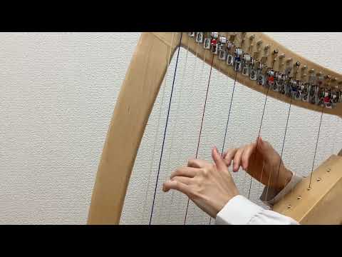 フレックスハープ22　ナチュラル・オリジナル弦２