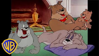 Tom & Jerry | Best Of Spike 🐶 | Classic Cartoon Compilation | @Wbkids​