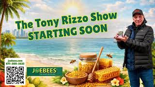 THE TONY RIZZO SHOW - BROWNS CAMP GETS HEATED + QB BATTLE - 8/19/2026