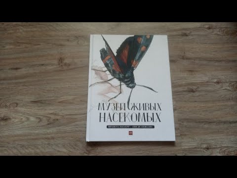 Музей живых насекомых/ Франсуа Лассерр/ ил. Анн де Анжелис