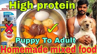 Homemade dog food kese banaye vegetable & chicken mixed homemade dog food recipe best dog foodrecipe