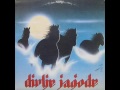 ZAUVIJEK TVOJ - DIVLJE JAGODE (1988)