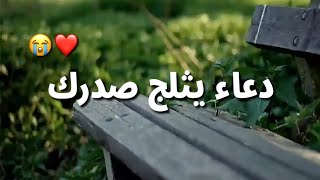 يا رب 😭❤ دعاء يريح القلب 💚 أجمل حالات واتس أدعية دينية 🙏🏻❤مقاطع انستغرام ♥استوريات دينية