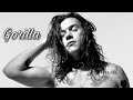 Harry Styles - Gorilla