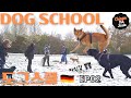 Dog school   ep02chingu gets a warning  jindodog chinguthejindo dogschoolgermany