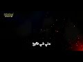 دورت كلبي ولكيته مني واكع الحاج باسم الكربلائي 