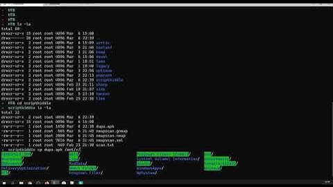 HackTheBox #029 Scriptkiddie