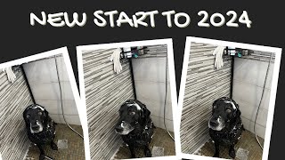 Labradors New Start to The New Year by Percy The Labrador 1,010 views 3 months ago 4 minutes, 52 seconds