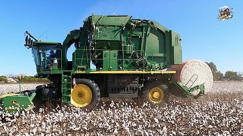 Harvesting Cotton in Southwest Oklahoma