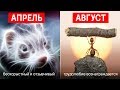 КАКОЙ ТЫ ЗВЕРЬ ПО ДАТЕ РОЖДЕНИЯ