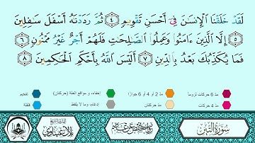 سورة التين برواية حفص عن عاصم 🔹 المصحف المعلم 🔸 القارىء الشيخ بلال عيناوي