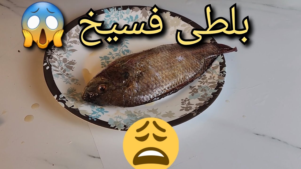 جربت تاكل فسيخ البلطى ؟ لو مجربتش تعالى نجرب سوى