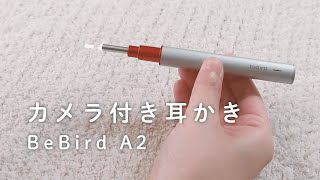 カメラ付き耳かき BeBird A2を買ってみました。