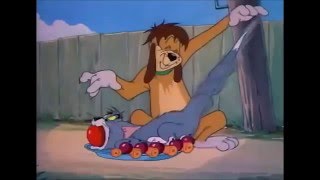 Tom and Jerry woow 35 Episode   The Truce Hurts 1948