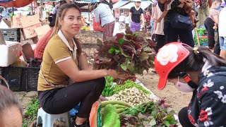 Harvest Vegetables Take to Market Sell - Gardening - Animal Care - Farm Life - Triệu Lily