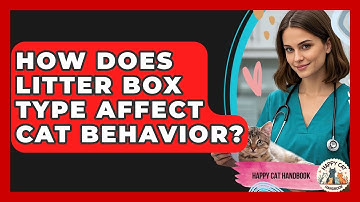 How Does Litter Box Type Affect Cat Behavior? - Happy Cat Handbook