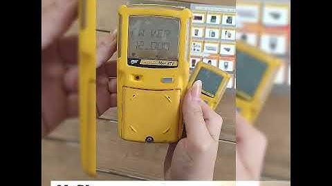 multi Gas Detectors BW Max XT II