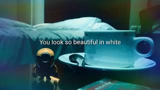 Snap WA beautiful in white
