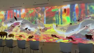 高尾599ミュージアム NATURE WALL プロジェクションマッピング 