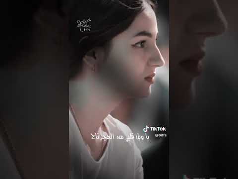 ٥ أغسطس ٢٠٢٣