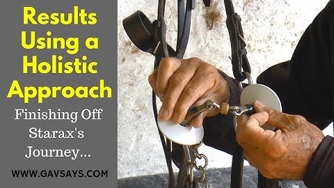 Follow on to Basic Horse Training & Bitting - with Starax