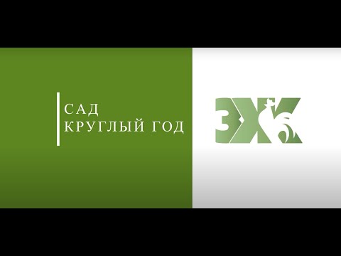 Сад круглый год | Выпуск 13
