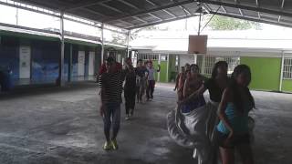 Grupo Colpachi Ensayo