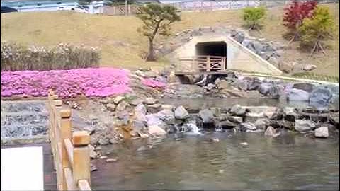 Daegu Gyeongbuk Institute of Science and Technology   DGIST