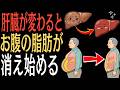【保存版】肝臓年齢が若返る！毎日コレだけで脂肪も肌も激変します