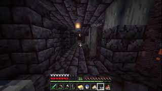 Minecraft Speedrun Until I die (Attempt #10)