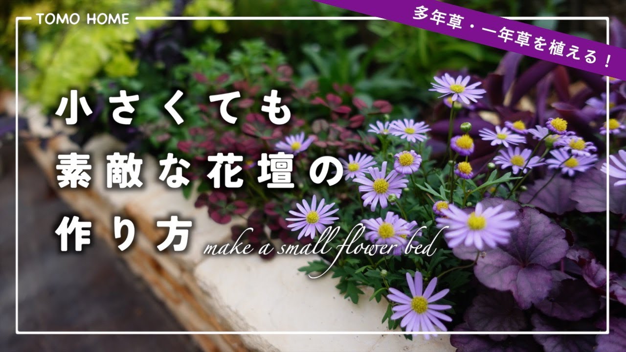 【簡単】失敗しないレイアウトの方法・宿根草と一年草とリーフ組み合わせのコツ【花壇作り】